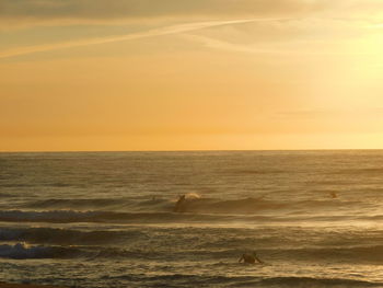 Thirroul coast 