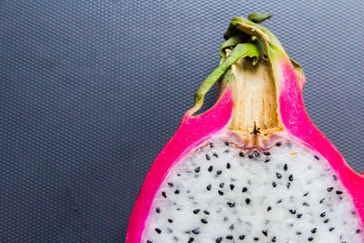 Close-up of fruit on plant