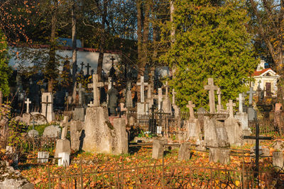 View of many crosses in cemetery on a sunny autumn day