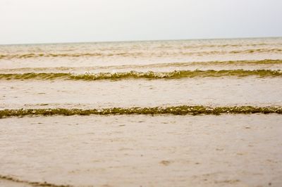 Surface level of beach against clear sky