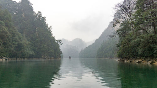 Scenic view of lake in forest against sky