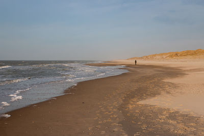Walking along the north sea beach and the dunes on the wadden island of texel on a  sunny winter day
