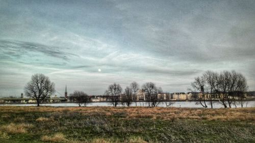 Bare trees on field against sky during winter