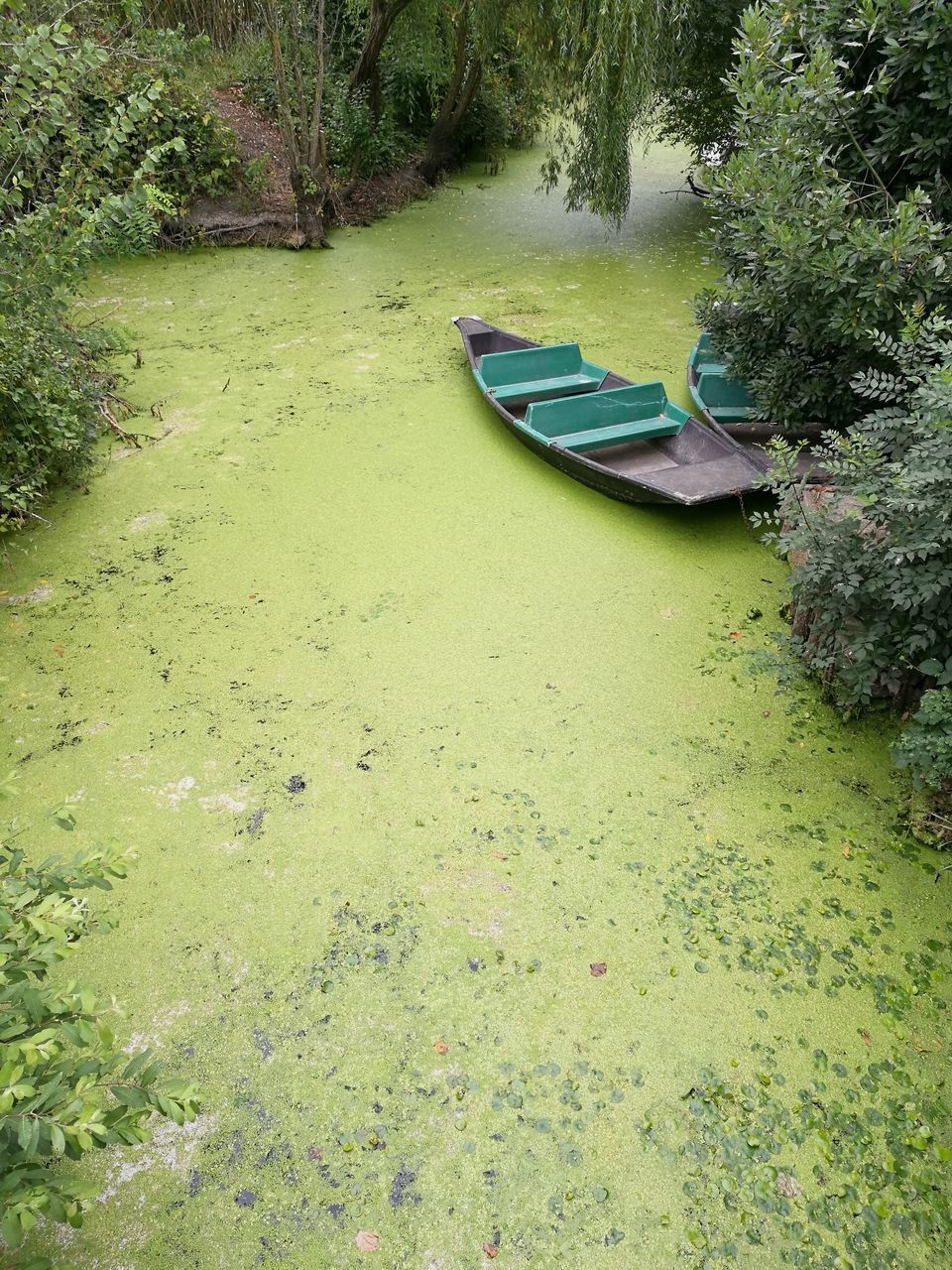 BOAT MOORED IN LAKE