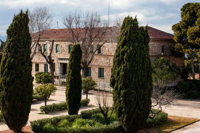 Trees and plants growing outside old building