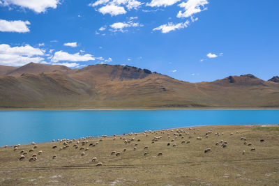 Scenic view of lake and mountains against sky