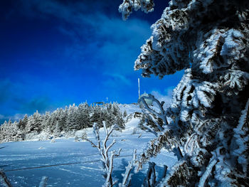 snow