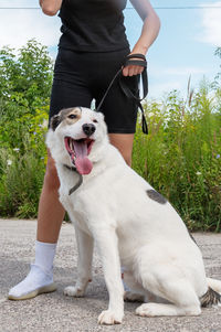 pet