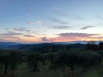 Scenic view of field against sky during sunset