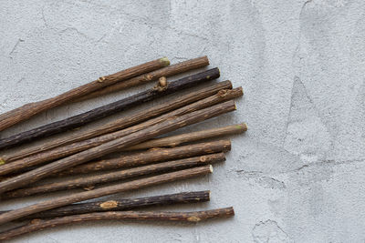 Natural catnip sticks for cat molar cleaning