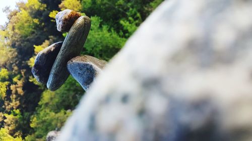 Close-up of stones on rock