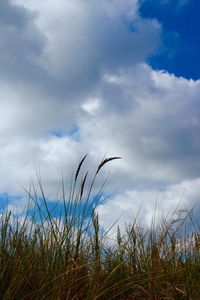 Scenic view of field against cloudy sky