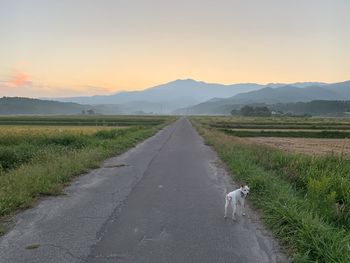 Road amidst field against sky during sunset