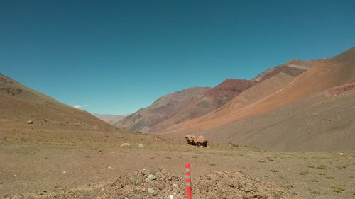 Scenic view of desert against clear blue sky