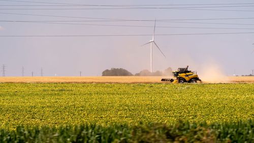 Scenic view of agricultural field against sky