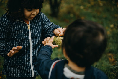 Child touching spiny husks of chestnut