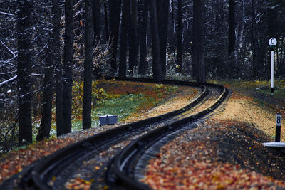 Railroad track amidst trees in forest