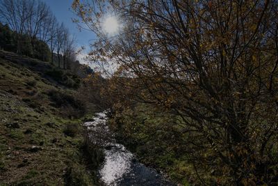 Scenic view of waterfall in forest against sky