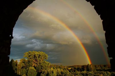 Scenic view of rainbow over trees against sky