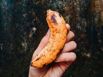 Close-up of hand holding bread