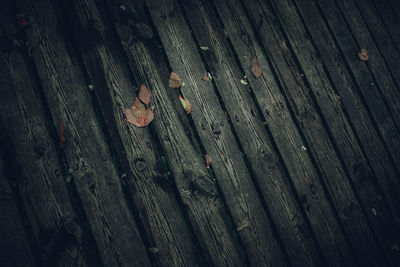 Full frame shot of textured wood