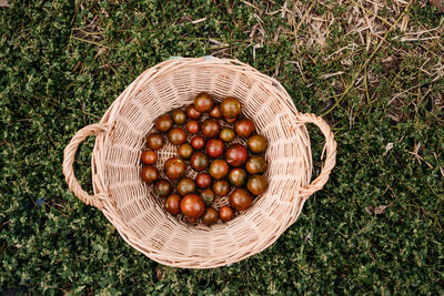 High angle view of apples in basket