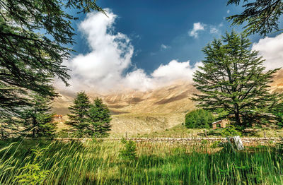 Panoramic view of landscape against sky