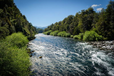 River amidst trees in forest against clear blue sky