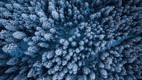 Full frame shot of frozen ice during winter