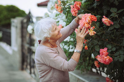 Elderly woman admiring beautiful bushes with colorful roses.