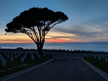 Silhouette tree by sea against sky during sunset