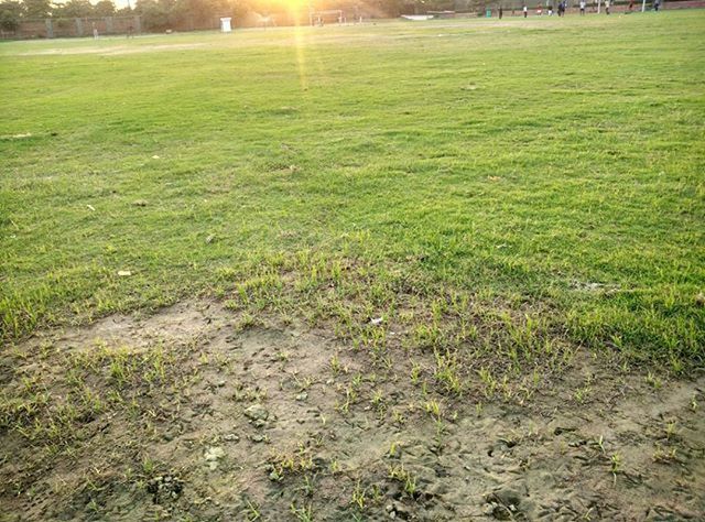 grass, field, grassy, green color, growth, landscape, tranquility, nature, sunlight, beauty in nature, tranquil scene, outdoors, no people, day, high angle view, rural scene, plant, lawn, grass area, scenics