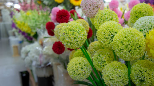 Close-up of flowering plant