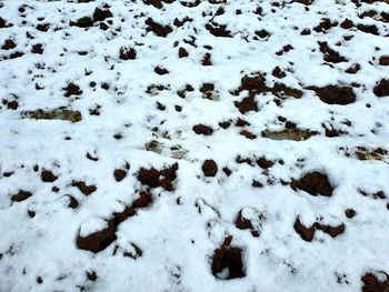 High angle view of snow covered land