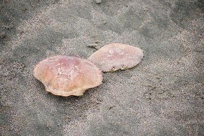 Close-up of sand on beach