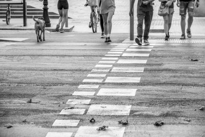 Group of people walking on city street