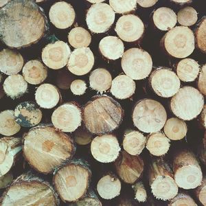 Full frame shot of firewood