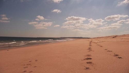 Scenic view of beach against sky
