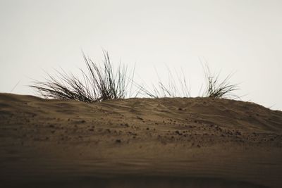 Low angle view of sand dune against clear sky