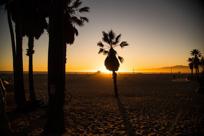 Silhouette palm trees on beach against sky during sunset