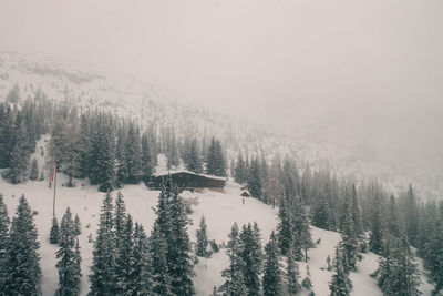 Scenic view of snow covered landscape