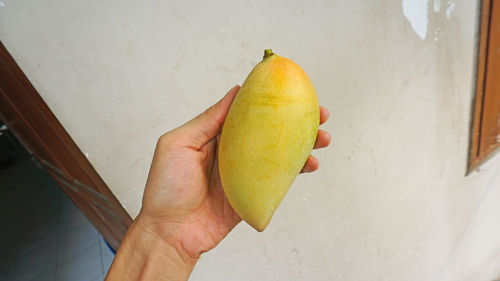 Midsection of person holding fruit