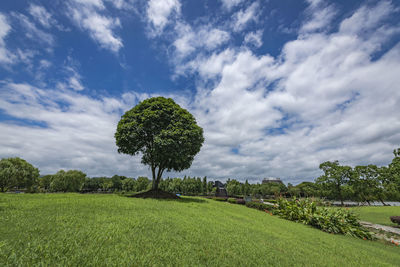 Scenic view of field against sky