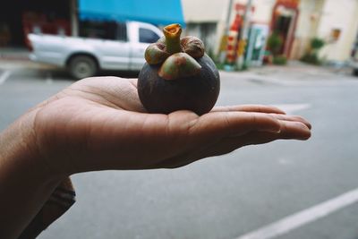 Close-up of hand holding fruit