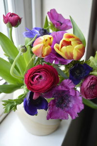 Close-up of purple flowers on table