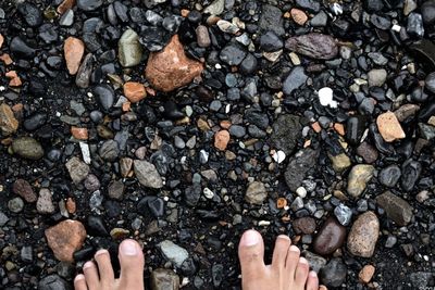 Low section of person on pebbles at beach