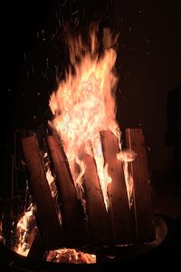 Close-up of bonfire at night