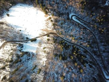 High angle view of snow on road along trees
