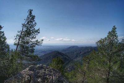 Scenic view of tree mountains against sky