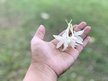 Close-up of hand holding red rose